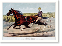 Historic Framed Print, The champion Stallion Maxy Cobb by Happy Medium,  17-7/8" x 21-7/8"