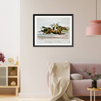 Great horses in a great race.J. Cameron, Historic Print