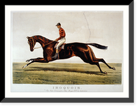 Historic Framed Print, Iroquois: by imp. Leamington, dam Maggie B.B. by Australian,  17-7/8" x 21-7/8"