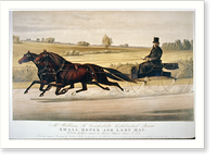 Mr. William H. Vanderbilt's celebrated team Small Hopes and Lady Mac: driven by their owner to road-wagon, time 2:23, Historic Reproduction