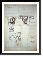 United States Capitol, Washington, D.C. Detail (with magnolia) upper columns gallery - 3 Classic, Vintage Print