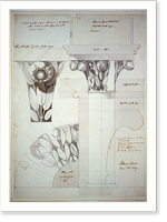 United States Capitol, Washington, D.C. Detail (with magnolia) upper columns gallery - 3 Classic, Vintage Print