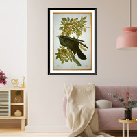 Historic Framed Print, Raven,  17-7/8" x 21-7/8"