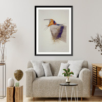 Historic Framed Print, Barn Swallow,  17-7/8" x 21-7/8"