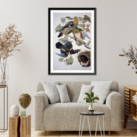 Summer or Wood Duck, Antique Wall Art