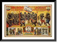 Vintage Photo Print - Ringling Bro's marvelous acting Pachyderms