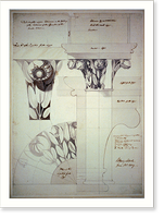 United States Capitol, Washington, D.C. Detail (with magnolia) upper columns gallery - 4, Antique Print