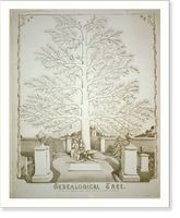Historic Framed Print, Genealogical tree - 2,  17-7/8" x 21-7/8"