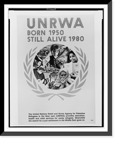 UNRWA, born 1950, still alive 1980, Historic Print