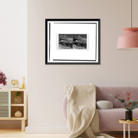 Historic Framed Print, Ages ago a proud giant of the forest,  17-7/8" x 21-7/8"