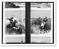 The Texas cattle trade. Cutting out.drawn by Frenzeny and Tavernier, Historic Print