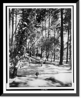 Antique Scenic Print - Napa Valley, California - Pitch and putt golf