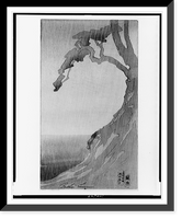 Embankment, showing bay in rainstorm.Bertha Lum. - 2, Vintage Poster