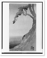 Embankment, showing bay in rainstorm.Bertha Lum. - 2, Vintage Poster