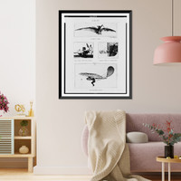 M. Adler's Avion".photo, Malcuit. The "Avion" with wings folded. Wright making an aerial glide. Otto Lilienthal gliding", Antique Poster