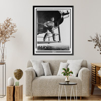 Historic Framed Print, [Edward Steichen, full-length portrait, holding camera, standing on aircaft carrier, WWII, facing right],  17-7/8" x 21-7/8"