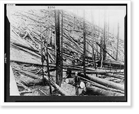 Result of hurricane and fire in a heavy stand of Idaho white pine on Little North fork of St. Joe River, Coeur d'Alene, Idaho, Historic Reproduction