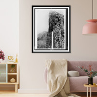 Glacier National Park, Mountain. Great vertical wall of the north face of Goathaunt Mountain, 1,200 ft. high, Antique Print