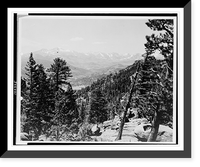 Longs Peak and Continental Divide from Cathedral Ridge.photo by Wiswall, Antique Wall Art