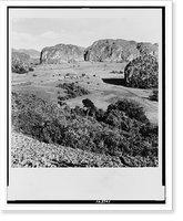 View of Vi&ntilde;ales Valley, a tropical landscape in a setting of weird shaped hills of imposing grandeur, Vintage Poster