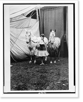 Historic Framed Print, [Bareback rider standing between two horses outside circus tent],  17-7/8" x 21-7/8"