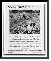 Seeds that grow. the local Red Cross supplied 2500 pounds of seed for city and county gardens..Welfare Federation of Lancaster County, Vintage Wall Art