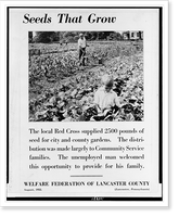 Seeds that grow. the local Red Cross supplied 2500 pounds of seed for city and county gardens..Welfare Federation of Lancaster County, Vintage Wall Art