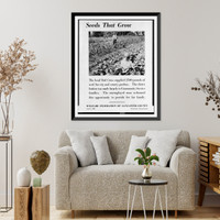 Seeds that grow. the local Red Cross supplied 2500 pounds of seed for city and county gardens..Welfare Federation of Lancaster County, Vintage Wall Art