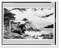 Historic Framed Print, [Midway Point, Monterey Coast, California],  17-7/8" x 21-7/8"