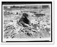 Historic Framed Print, On the Pleasant Street Dump. Location: Fall River, Massachusetts.Lewis W. Hine.,  17-7/8" x 21-7/8"