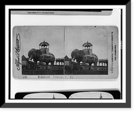 Elephant Bazaar, Coney Island, Vintage Print
