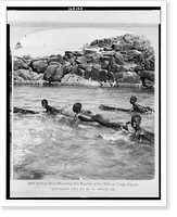 Nubian boys shooting the rapids of the Nile on logs, Egypt, Antique Print