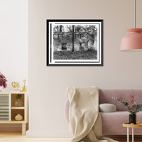 Vintage Americana Print - Ruin of tabby (shell) construction, St