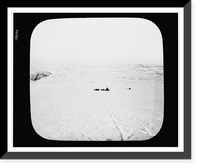 Men with dogsleds on an expanse of frozen ice during the Cook expedition to the North Pole, Vintage Poster