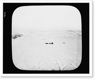 Men with dogsleds on an expanse of frozen ice during the Cook expedition to the North Pole, Vintage Poster