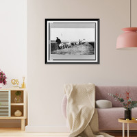 Dogs being used to plow, Hay River, Northwest Territories, Canada Classic, Vintage Poster