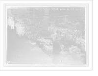Easter flowers for sale in Union Square, New York, Vintage Wall Art