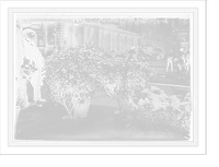 Easter flowers for sale in Union Square, New York - 3, Historic Reproduction