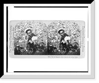 Historic Framed Print, Ise de happiest little coon in de cotton field,  17-7/8" x 21-7/8"