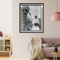 Gathering hanamh - Papago woman picking cactus fruit with wooden stick, Arizona, Antique Wall Art