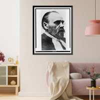 Historic Framed Print, [Emile Zola, head-and-shoulders portrait, facing right],  17-7/8" x 21-7/8"