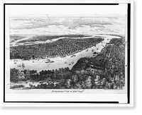 Historic Framed Print, Microscopic view of New York.Herline and Co.,  17-7/8" x 21-7/8"