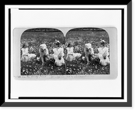Historic Framed Print, In the daisy field,  17-7/8" x 21-7/8"