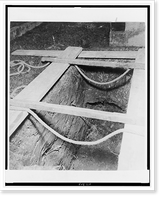 Historic Framed Print, [Empty grave of Georges Gurdjieff in Paris, before burial],  17-7/8" x 21-7/8"