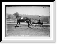 Pat. Kennedy and trotter "Lord Bromley", Speedway Parade, Antique Wall Art