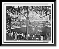 Historic Framed Print, Judging cattle at the Kentucky State Fair,  17-7/8" x 21-7/8"