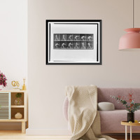 Historic Framed Print, Animal locomotion - 47,  17-7/8" x 21-7/8"