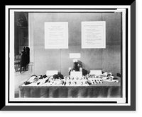 Display table of birds at exhibit by Smithsonian Institution's Division of Birds, 1927, Historic Print