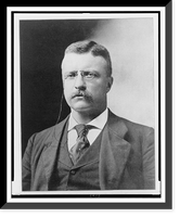 Historic Framed Print, [Theodore Roosevelt, head-and-shoulders portrait, facing front] - 2,  17-7/8" x 21-7/8"