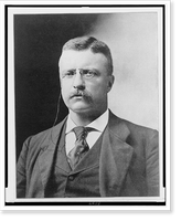 Historic Framed Print, [Theodore Roosevelt, head-and-shoulders portrait, facing front] - 2,  17-7/8" x 21-7/8"